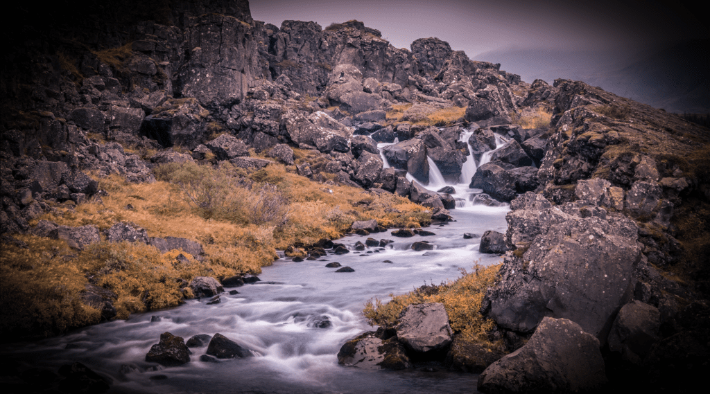 No single stretch of river in England or Northern Ireland is in good overall health.